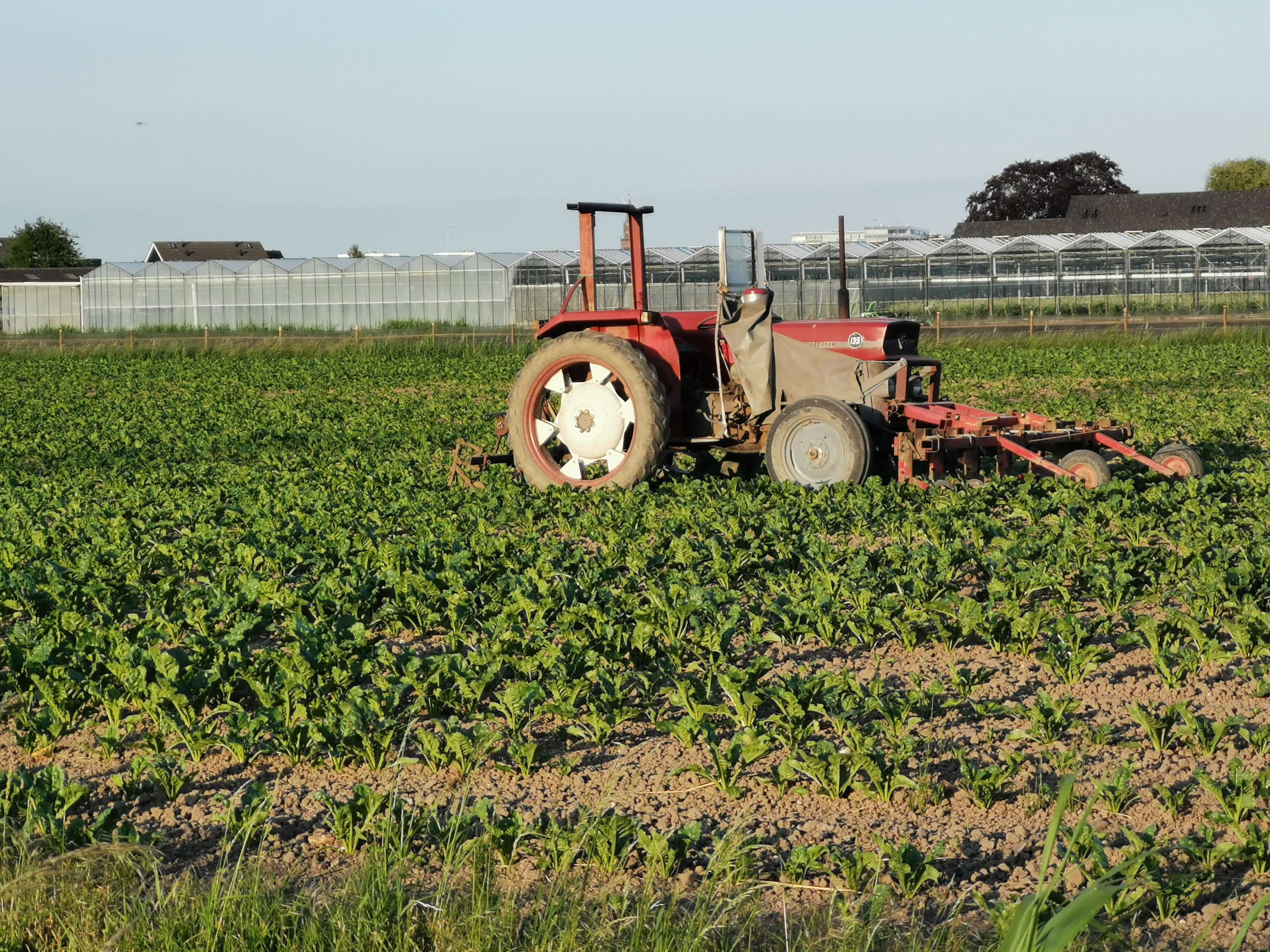 TractorPhilippines.img7