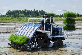How to Plant with TYM Rice Transplanter Riding Type