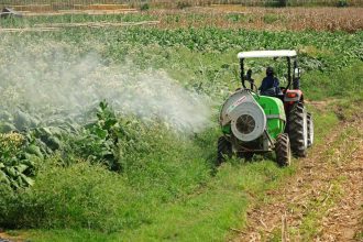 Paano Nakakaapekto ang Paggamit ng Tifone Sprayer sa Iyong Lupa at Pananim